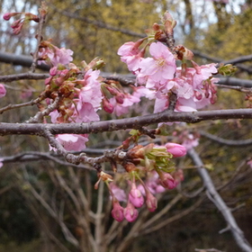 P1010475.JPG